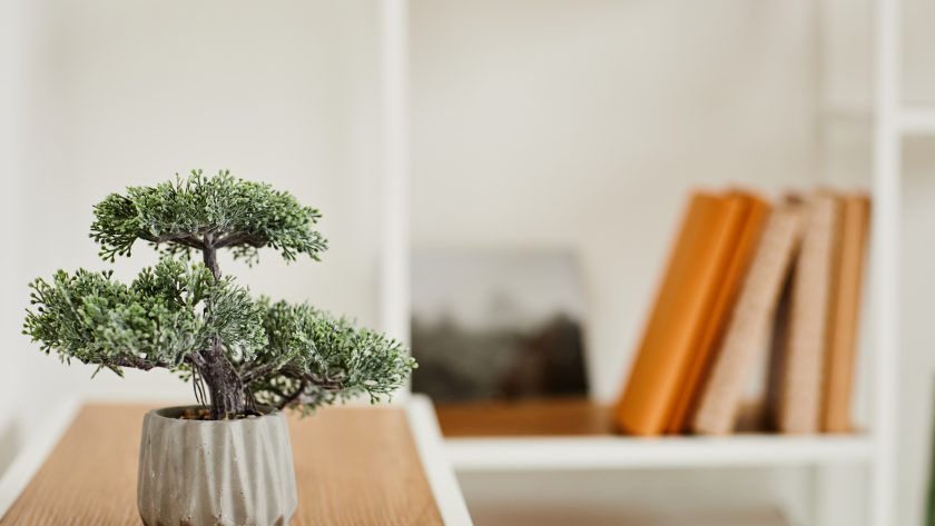 Wabi-sabi philosophie japonaise